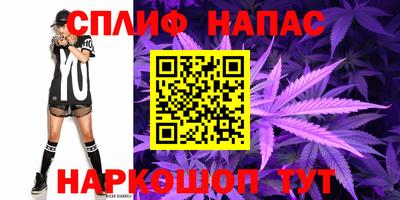 гашик Аргун