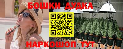 гашик Аргун