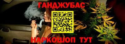 гашик Аргун