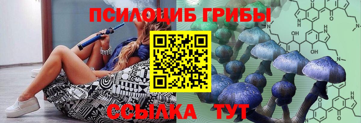 Псилоцибиновые грибы мухоморы Выборг